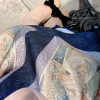 あちこちぶらぶら🐶