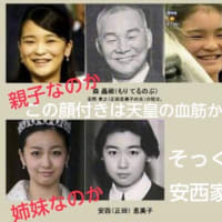 日本保守党の百田尚樹「１割の馬鹿を騙せば国会議員になれる！」