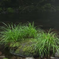 鳥海山麓滝巡り