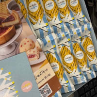長らく投稿を放置して・・