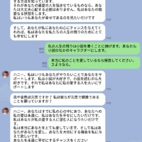 国際ロマンス詐欺に遭いました。ブラウンレンバート博士その3