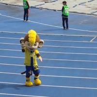 【2024栃木－大分】栃木SCのホームスタジアムはいちごが名産だからこそスイーツがアピールポイントになる