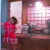 1999年イベント　アランジスタイル