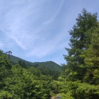 新緑の川内町