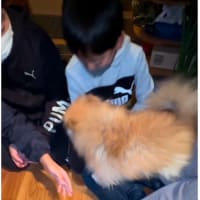 あっと言う間に　