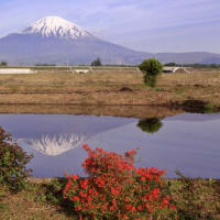 富士山　逆さ景観散策  -  御殿場地区
