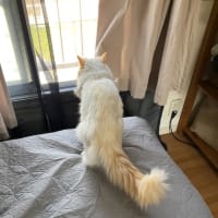 風が気持ちいいー！
