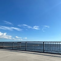 夏空と海