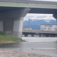 またも、雨