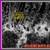 🐉🌈〖日蓮大聖人〗由来の清流に【⚡龍神様⚡】出現❢❢