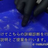 詳細診断（ダウンチェック）のご依頼まことにありがとうございます。