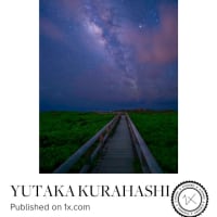 ６月天の川　M11-D