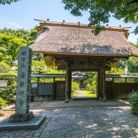 6月29日(日) 12日例会「一橋学園駅-小金井公園-境浄水場脇-三鷹駅」の下見-3-1