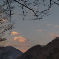 今朝の風景