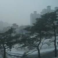 ソウルは雪です