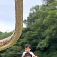 公園への散歩、朝と夕方。廊下で遊ぶ。孫ちゃん、お出かけ、恐竜と会う。