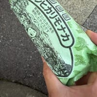 糸魚川グルメ