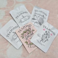 春のTEAPOND