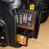 D500