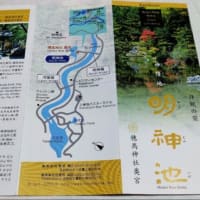 ブログ241108 母と娘の上高地旅～河童橋から明神池--その10〜明神池コース制覇！