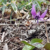 4月の備忘録