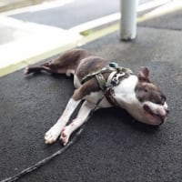 ライブハウスでCさんのライブを観ました