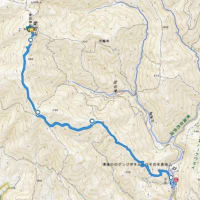 2024京都トレイル西山コース＆愛宕山登山