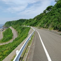 数年ぶりに米山をぐるっと一周走ってきた・・・