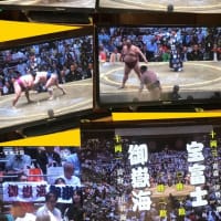 ☆贔屓力士全員白星～～～！！よかった！よかった！！！（笑）☆