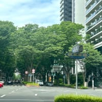 2025年7月6日(日) 高を括って失敗の一日😓