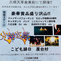 八丈祭＊週末特売チラシ＊八丈島情報