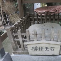 小出川・茅ヶ崎里山公園～ポタリング