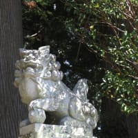 💖タツナミソウ・オンツツジなど💖