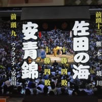 大相撲夏場所　祝優勝大関大の里　横綱へ！　ＴＪ