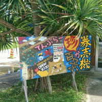 今日はウォーキングで