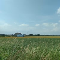 岩見沢のバラ園へ