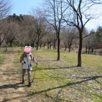 新潟県立植物園と古津八幡山遺跡を探索