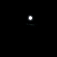 お月見出来ました！！