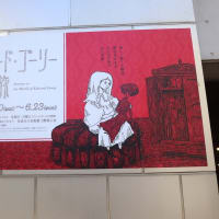 佐倉市美術館で、『エドワード・ゴーリーを巡る旅』を観ました。