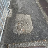 遠く離れた距離