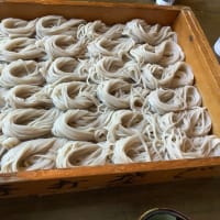 魚沼産コシヒカリ