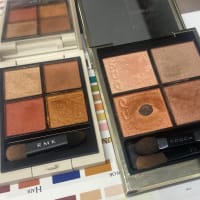 【カラー診断＆化粧品お土産付】似合うブラウンアイシャドウが見つかる人数限定日本橋三越セミナー
