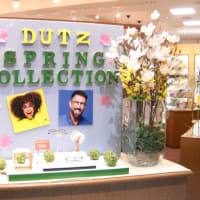 WINDOW DISPLAY