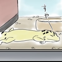 無防備レオパ