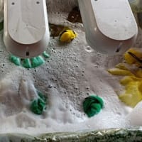 ２０２５年 ４月　種まき作業