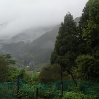 令和7年6月10日・今朝の東祖谷１８℃（１５．１℃）