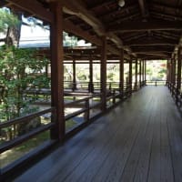 嵯峨野大覚寺4　大覚寺の宸殿から御影堂へ