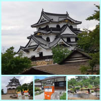 万博公園のバラと彦根城