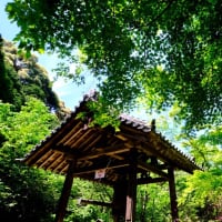 いずれ菖蒲か杜若-奈良県天理市：長岳寺