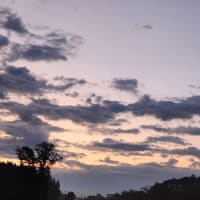 朝空